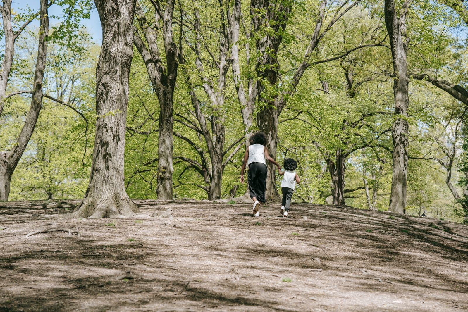Un parent et un enfant, vus de dos, marchant main dans la main dans un parc boisé ensoleillé